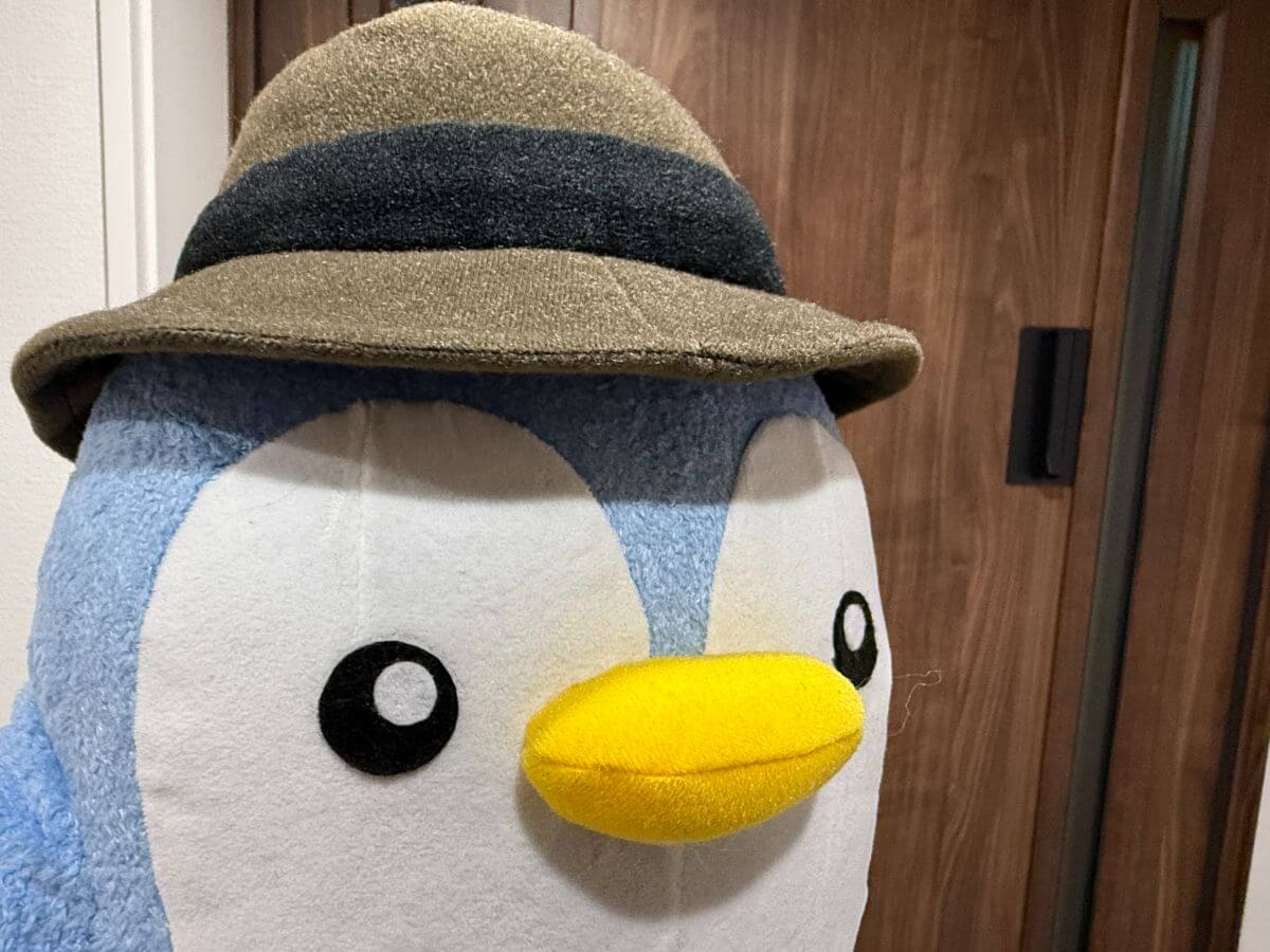 一条工務店の玄関の間取り